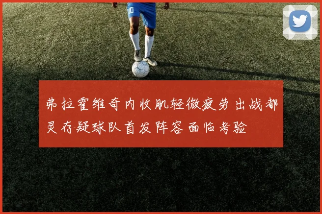 弗拉霍维奇内收肌轻微疲劳出战都灵存疑球队首发阵容面临考验