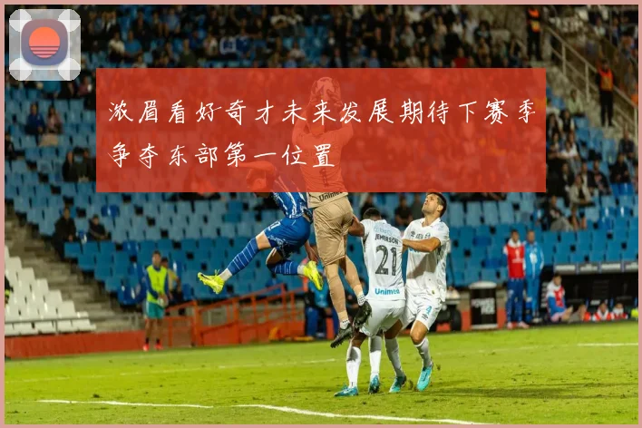 浓眉看好奇才未来发展期待下赛季争夺东部第一位置